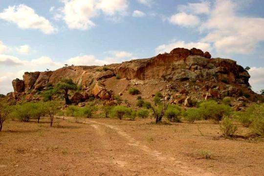 South African Tourism lists national parks on Google Street View