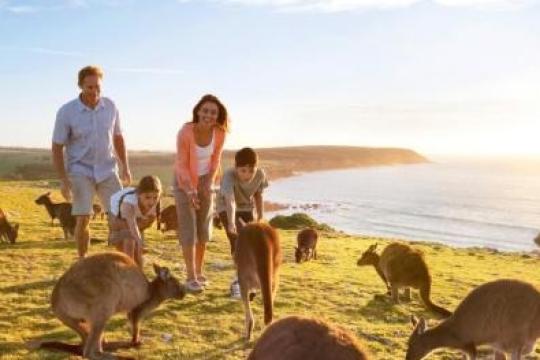 Australia sees 15% growth in arrivals from India