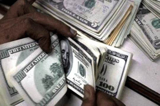 Share of tourism in generating forex : PIB