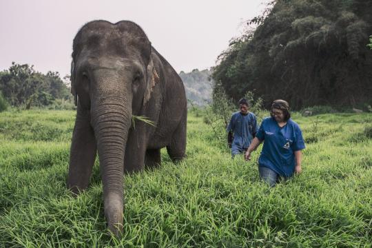 Anantara Hotels & Resorts Launches Global CSR Program ‘Dollar for Deeds’