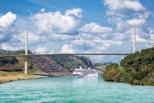 Cruise Intermediaries’ Revenue Up 65% Due to Pandemic: GlobalData