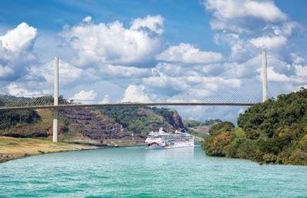 Cruise Intermediaries’ Revenue Up 65% Due to Pandemic: GlobalData
