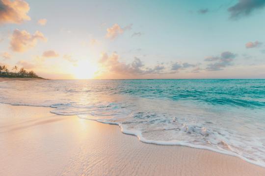 Goa appoints EcostanInfra for cleaning 51 beaches