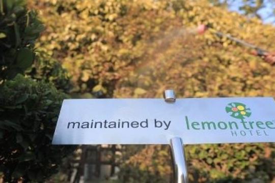 Lemon Tree Releases First Report on ESG Performance