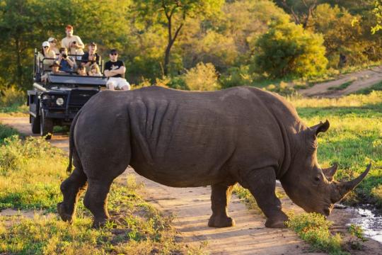 South Africa aims to cross 100,000 visitors from India in 2020
