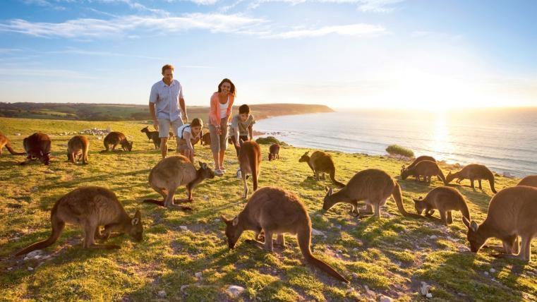 Australia sees 11.3% growth from India