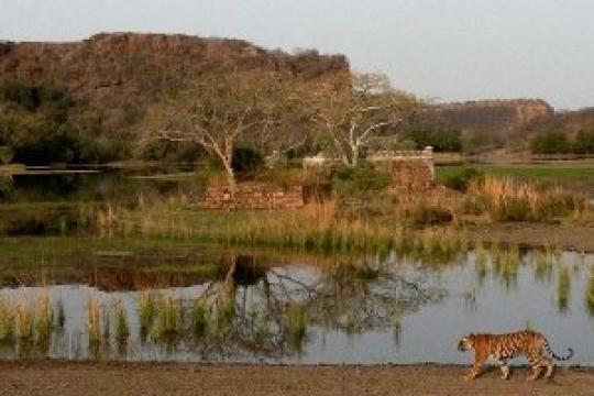 Contiki launches new India itinerary