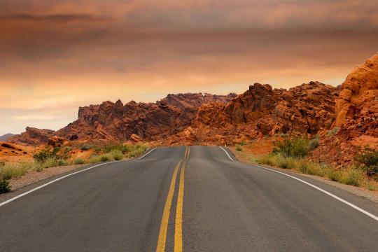 USA emerges as the most booked self-drive destination from India