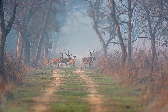 UP Govt. announces early opening for eco-tourism sites from Nov 6