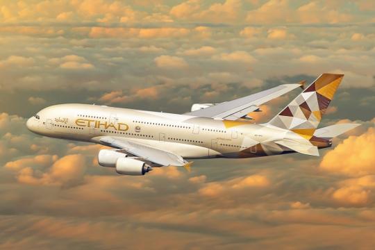 Etihad temporarily suspends all services