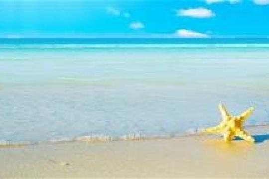 Emerging destinations eye good Indian traffic in 2014