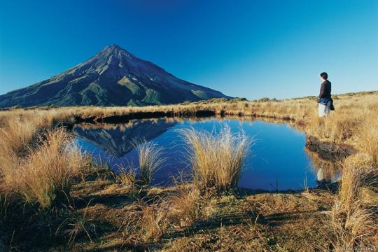 Tourism New Zealand sees 11.4% up in Indian arrivals