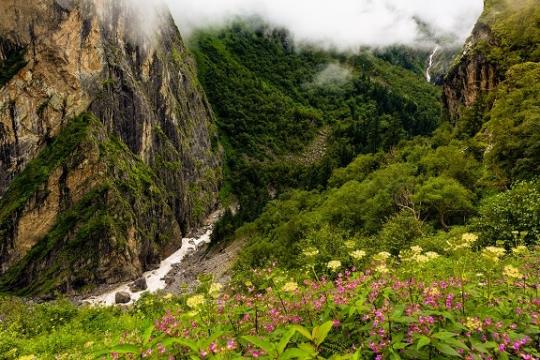UNESCO World Heritage Site ‘Valley of Flowers’ Opens on June 1