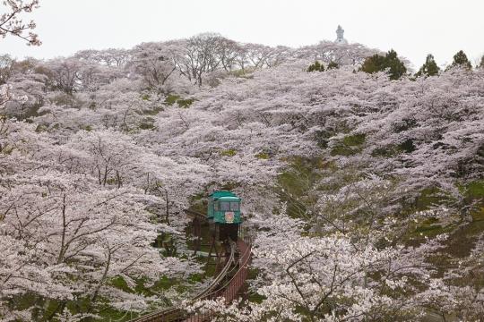 Thomas Cook sees 35% up in bookings for Japan