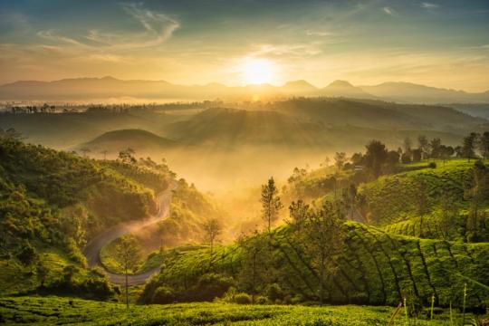 Indonesia’s travel & tourism sector to surpass IDR 1,131tn in 2024: WTTC