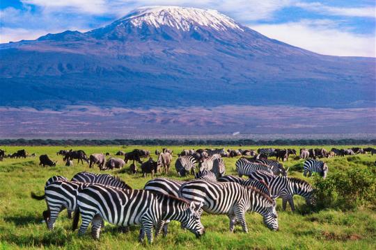 Kenya’s Marketing Campaign To Offer Incentives to Indian Travel Agents