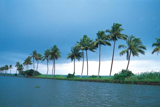 Kerala Govt gives nod to Responsible Tourism projects worth INR 6.64cr