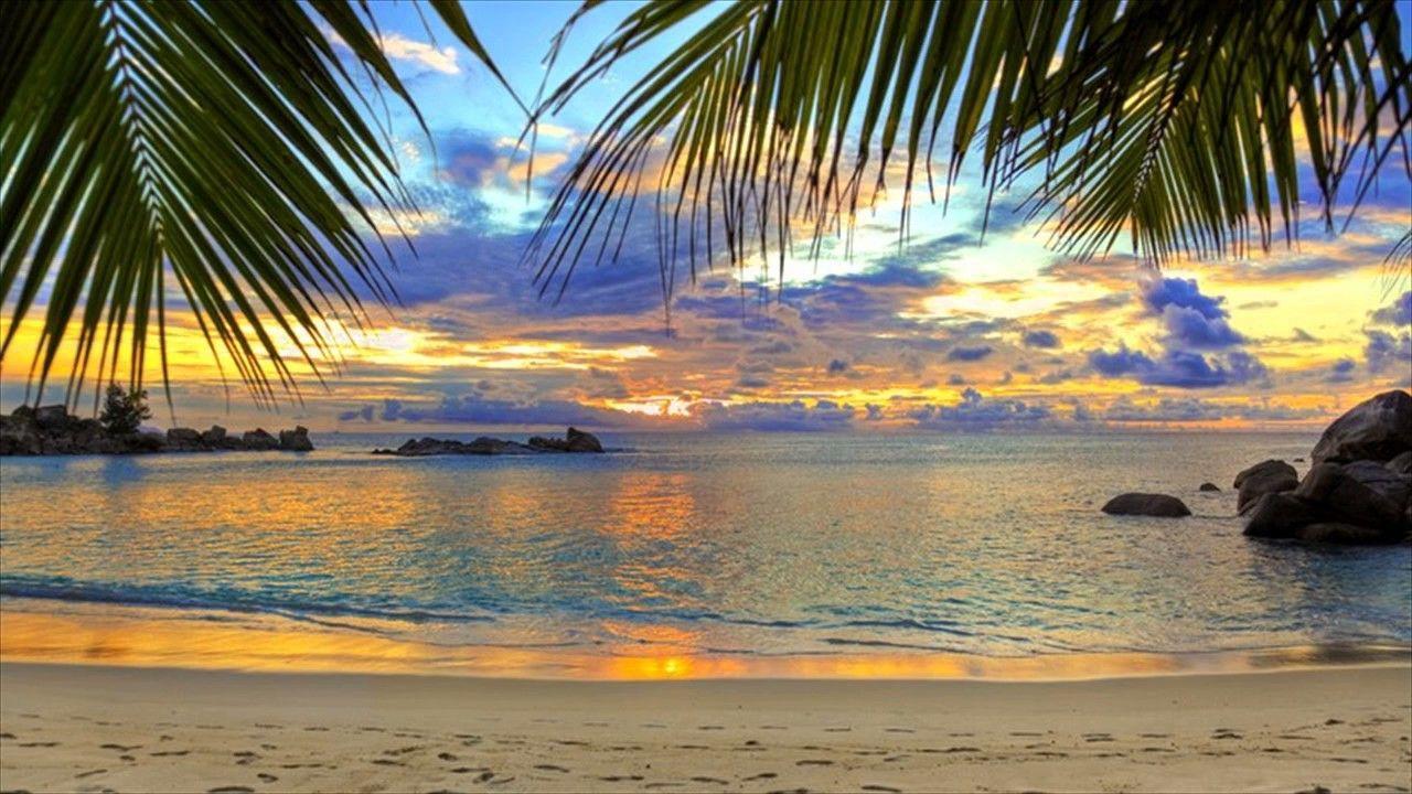 Goa to promote regenerative tourism & sustainable practices at TITF 2024
