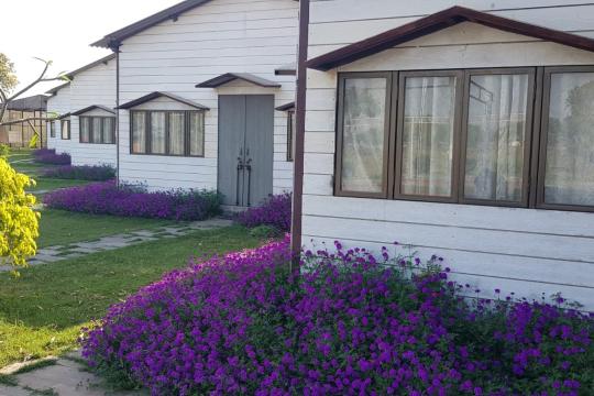 Uttar Pradesh rolls out first-ever farm stay investment drive